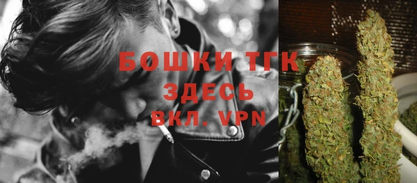 МДПВ Козельск