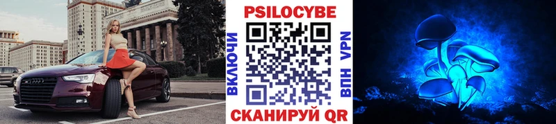 Псилоцибиновые грибы Psilocybine cubensis  Кисловодск 